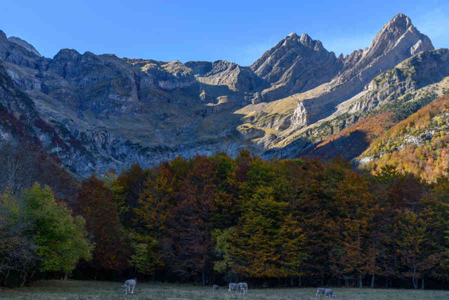 Huesca - parque nacional de Ordesa y Monte Perdido - valle de Pineta 02 - circo de Pineta.jpg